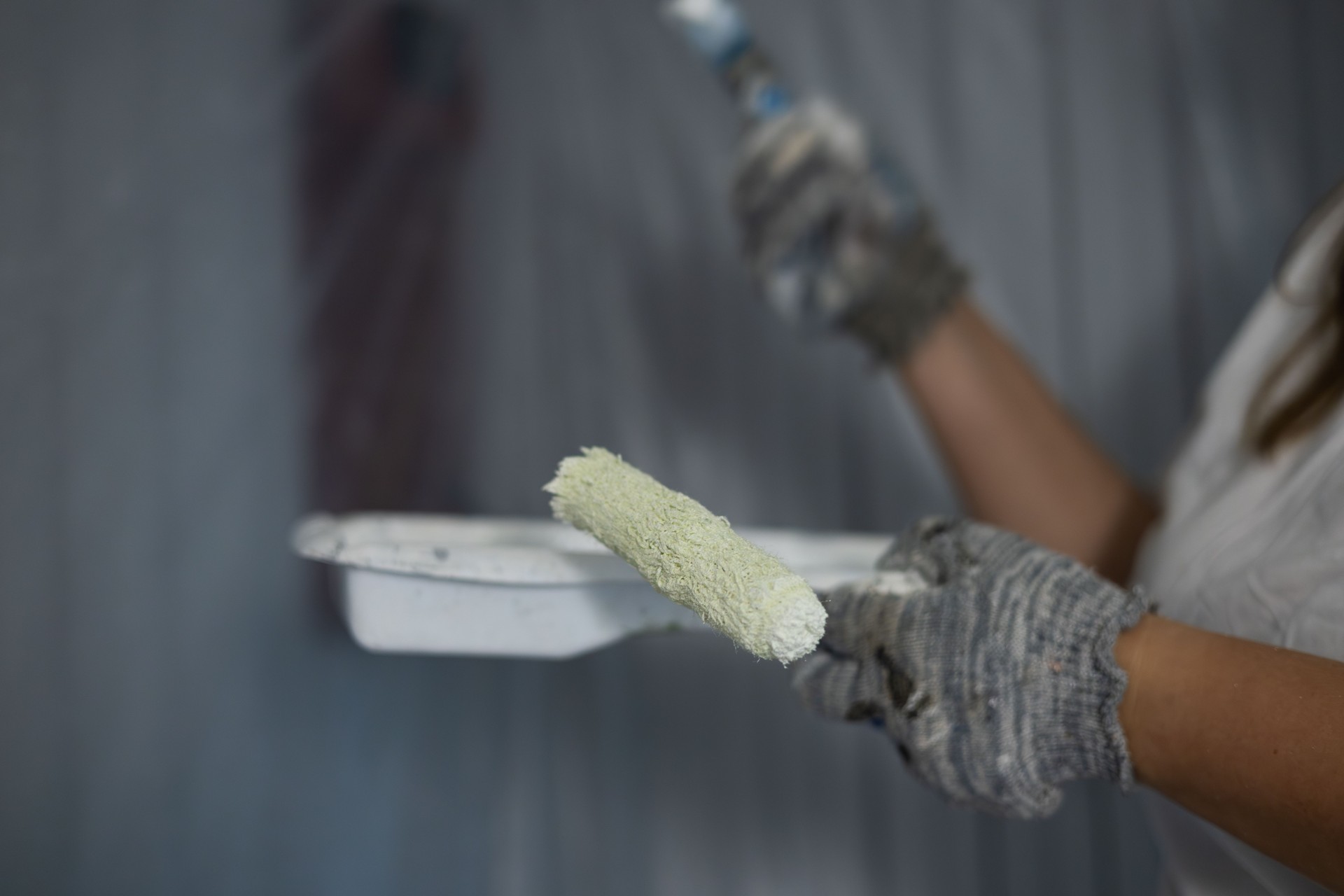 Close-up of a paint tray and roller in the hands of a painter. A professional painter dipped a small roller into a tray filled with white paint, preparing to continue painting a wall.